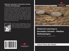 Historical Learning in Secondary Schools - Pibidian Methodologies的封面
