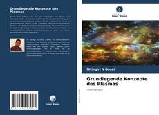 Grundlegende Konzepte des Plasmas kitap kapağı