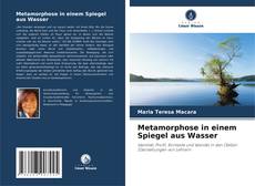Borítókép a  Metamorphose in einem Spiegel aus Wasser - hoz