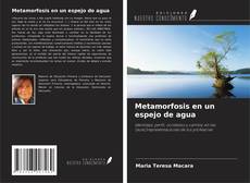 Copertina di Metamorfosis en un espejo de agua