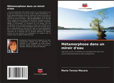 Métamorphose dans un miroir d'eau kitap kapağı