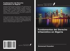 Buchcover von Fundamentos del Derecho Urbanístico en Nigeria