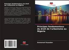 Bookcover of Principes fondamentaux du droit de l'urbanisme au Nigeria