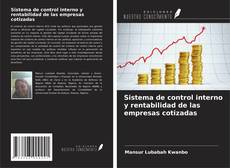 Sistema de control interno y rentabilidad de las empresas cotizadas kitap kapağı