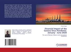 Buchcover von Financial Impact of the Corona Virus Pandemic: January - June 2020