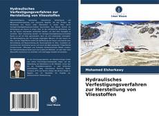 Portada del libro de Hydraulisches Verfestigungsverfahren zur Herstellung von Vliesstoffen