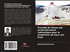 Procédé de liaison par enchevêtrement hydraulique pour la production de tissu non tissé的封面