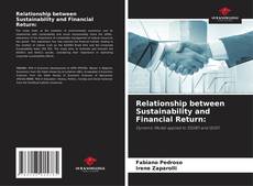 Relationship between Sustainability and Financial Return:的封面