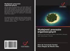 Bookcover of Wydajność procesów organizacyjnych