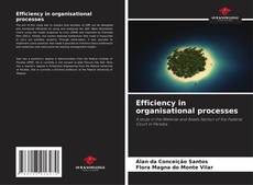 Capa do livro de Efficiency in organisational processes 