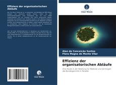 Bookcover of Effizienz der organisatorischen Abläufe