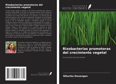 Capa do livro de Rizobacterias promotoras del crecimiento vegetal 