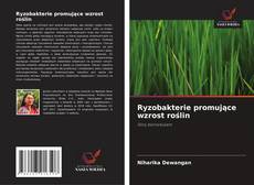 Copertina di Ryzobakterie promujące wzrost roślin