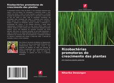 Bookcover of Rizobactérias promotoras do crescimento das plantas