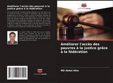 Обложка Améliorer l'accès des pauvres à la justice grâce à la fédération