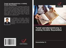 Copertina di Tunel aerodynamiczny o niskiej liczbie Reynoldsa