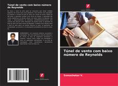 Túnel de vento com baixo número de Reynolds kitap kapağı