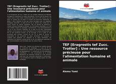 Bookcover of TEF [Eragrostis tef Zucc. Trotter] : Une ressource précieuse pour l'alimentation humaine et animale