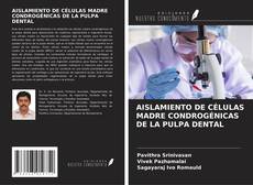 Buchcover von AISLAMIENTO DE CÉLULAS MADRE CONDROGÉNICAS DE LA PULPA DENTAL