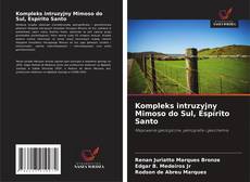 Buchcover von Kompleks intruzyjny Mimoso do Sul, Espírito Santo
