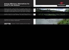 Copertina di Energy Efficiency Alternatives for Boats in the Amazon