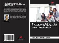 The Implementation of the Electronic Judicial Process in the Labour Courts的封面