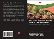 Copertina di Eau salée et doses d'azote pour la culture du ricin