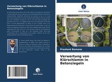 Borítókép a  Verwertung von Klärschlamm in Betonziegeln - hoz