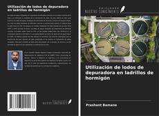 Обложка Utilización de lodos de depuradora en ladrillos de hormigón