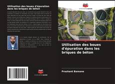 Bookcover of Utilisation des boues d'épuration dans les briques de béton