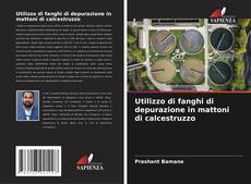 Couverture de Utilizzo di fanghi di depurazione in mattoni di calcestruzzo