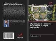 Copertina di Wykorzystanie osadów ściekowych w cegle betonowej