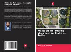 Bookcover of Utilização de lamas de depuração em tijolos de betão