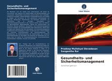 Borítókép a  Gesundheits- und Sicherheitsmanagement - hoz