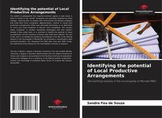 Identifying the potential of Local Productive Arrangements的封面