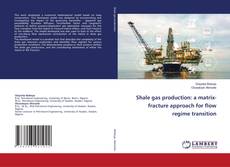 Buchcover von Shale gas production: a matrix-fracture approach for flow regime transition