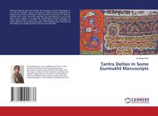Tantra Deities In Some Gurmukhī Manuscripts的封面