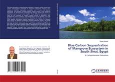 Copertina di Blue Carbon Sequestration of Mangrove Ecosystem in South Sinai, Egypt