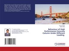 Buchcover von Behaviour of High Performance Concrete Column Under Different Loading