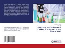Copertina di Infectious Bursal Disease in Chicken & Infectious Bursal Disease Virus