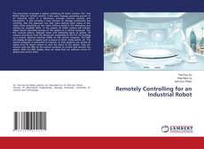 Copertina di Remotely Controlling for an Industrial Robot