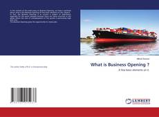 Copertina di What is Business Opening ?