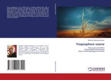 Buchcover von Troposphere ozone