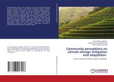 Bookcover of Community perceptions on climate change mitigation and adaptation