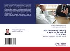 Buchcover von Management of Vertical Integrated Industrial Enterprises
