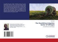 Buchcover von The Stumbling Irrigation Sector of Ethiopia