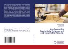 Copertina di Seru System For Productivity Enhancement and Sustainable Planning