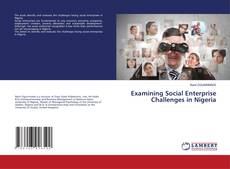 Buchcover von Examining Social Enterprise Challenges in Nigeria