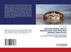 Buchcover von OCCUPATIONAL SAFETY KNOWLEDGE AND PRACTICE AMONG EMPLOYEES