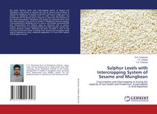 Copertina di Sulphur Levels with Intercropping System of Sesame and Mungbean